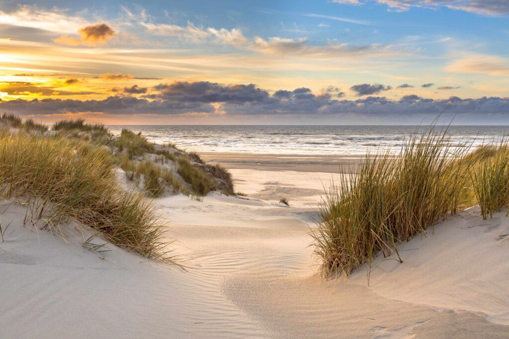 Blick von der Dünenhöhe über die Nordsee
